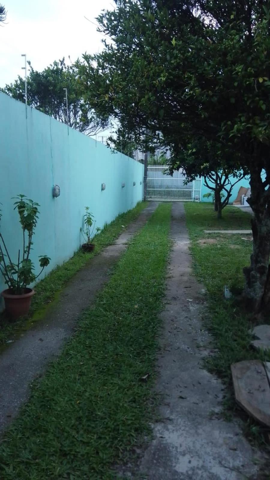 Casas Amarelas Ingleses *